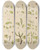 Triptych art skateboard deck of Walter Hood Fitch Cryptogamic Botany Of The Antarctic Voyage Of Hm Discovery Ships Erebus And Terror In The Years 1839 Pl33 by Walter Hood Fitch (1817-1892)