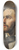 Ernst Stckelberg - Portrait of the Archaeologist Johann Jakob Bernoulli 8.25 inch art skate deck