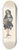 Ernst Stern - Der junge Komponist 8.25 inch art skate deck