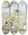 Triptych art skateboard deck of Edward Julius Detmold The Rhea by Edward Julius Detmold (1883-1957)