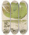 Triptych art skateboard deck of Walter Hood Fitch Cryptogamic Botany Of The Antarctic Voyage Of Hm Discovery Ships Erebus And Terror In The Years 1839 Pl42 by Walter Hood Fitch (1817-1892)