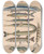 Triptych art skateboard deck of Lorenz Oken Allgemeine Naturgeschichte Fur Alle Stande Pl052 by Lorenz Oken (1779-1851)