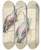Triptych art skateboard deck of Aert Schouman Twee Rotskruipers Blauw En Paars Op Een Muur by Aert Schouman (1710-1792)