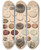 Triptych art skateboard deck of Lorenz Oken Allgemeine Naturgeschichte Fur Alle Stande Pl002 by Lorenz Oken (1779-1851)