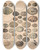 Triptych art skateboard deck of Lorenz Oken Allgemeine Naturgeschichte Fur Alle Stande Pl005 by Lorenz Oken (1779-1851)