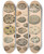 Triptych art skateboard deck of Lorenz Oken Allgemeine Naturgeschichte Fur Alle Stande Pl006 by Lorenz Oken (1779-1851)