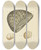 Triptych art skateboard deck of James Sowerby The Mineral Conchology Of Great Britain Pl086 by James Sowerby (1757-1822)