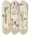 Triptych art skateboard deck of Walter Hood Fitch Cryptogamic Botany Of The Antarctic Voyage Of Hm Discovery Ships Erebus And Terror In The Years 1839 Pl03 by Walter Hood Fitch (1817-1892)