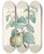 Triptych art skateboard deck of Pierre Joseph Redout La Botanique De J J Rousseau Pl 41 by Pierre Joseph Redoute (1759-1840)