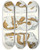 Triptych art skateboard deck of Antonn Fri Die Crustaceen Der Bhmischen Kreideformation Pl 7 by Antonin Fric (1832-1913)
