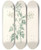 Triptych art skateboard deck of Pierre Joseph Redout La Botanique De J J Rousseau Pl 29 by Pierre Joseph Redoute (1759-1840)