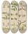 Triptych art skateboard deck of Walter Hood Fitch Cryptogamic Botany Of The Antarctic Voyage Of Hm Discovery Ships Erebus And Terror In The Years 1839 Pl30 by Walter Hood Fitch (1817-1892)