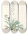 Triptych art skateboard deck of Pierre Joseph Redout La Botanique De J J Rousseau Pl 13 by Pierre Joseph Redoute (1759-1840)