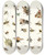Triptych art skateboard deck of Johann Heinrich Sulzer Dr Sulzers Short History Of Insects Pl 26 by Johann Heinrich Sulzer (1735-1813)