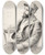 Triptych art skateboard deck of Pierreauguste Renoir Louis Valtat by Pierre-Auguste Renoir (1841-1919)