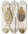 Triptych art skateboard deck of Martin Frobenius Ledermuller Amusement Microscopique Tant Pour Lesprit Que Pour Les Yeux Pl100 by Martin Frobenius Ledermu%Cc%88Ller (1719-1769)