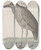 Triptych art skateboard deck of Ren De Rabi Natural History Of Saint Domingue Pl053 by Ren de Rabi (1700-1785)