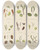 Triptych art skateboard deck of Walter Hood Fitch Cryptogamic Botany Of The Antarctic Voyage Of Hm Discovery Ships Erebus And Terror In The Years 1839 Pl06 by Walter Hood Fitch (1817-1892)