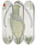 Triptych art skateboard deck of Martin Frobenius Ledermuller Amusement Microscopique Tant Pour Lesprit Que Pour Les Yeux Pl080 by Martin Frobenius Ledermu%Cc%88Ller (1719-1769)
