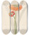 Triptych art skateboard deck of Clemenz Heinrich Wehdemann Cyrtanthus Clivia Nobilis by Clemenz Heinrich Wehdemann (1762-1835)