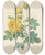 Triptych art skateboard deck of Pierre Joseph Redout Choix Des Plus Belles Fleurs Pl 096 by Pierre Joseph Redoute (1759-1840)