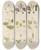 Triptych art skateboard deck of Walter Hood Fitch Cryptogamic Botany Of The Antarctic Voyage Of Hm Discovery Ships Erebus And Terror In The Years 1839 Pl09 by Walter Hood Fitch (1817-1892)