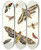 Triptych art skateboard deck of Johann Heinrich Sulzer Dr Sulzers Short History Of Insects Pl 19 by Johann Heinrich Sulzer (1735-1813)