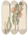 Triptych art skateboard deck of Clemenz Heinrich Wehdemann Asclepias Grandiflora Pachycarpus Grandiflorus by Clemenz Heinrich Wehdemann (1762-1835)