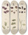 Triptych art skateboard deck of Walter Hood Fitch Cryptogamic Botany Of The Antarctic Voyage Of Hm Discovery Ships Erebus And Terror In The Years 1839 Pl10 by Walter Hood Fitch (1817-1892)