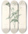 Triptych art skateboard deck of Pierre Joseph Redout La Botanique De J J Rousseau Pl 31 by Pierre Joseph Redoute (1759-1840)