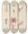 Triptych art skateboard deck of Walter Hood Fitch Cryptogamic Botany Of The Antarctic Voyage Of Hm Discovery Ships Erebus And Terror In The Years 1839 Pl22 by Walter Hood Fitch (1817-1892)
