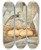 Triptych art skateboard deck of Edwin L Sheppard Ruffed Grouse by Edwin L Sheppard (1904)