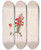 Triptych art skateboard deck of Luigi Balugani Acanthus Sennii Chiov by Luigi Balugani (1737-1770)