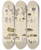 Triptych art skateboard deck of Walter Hood Fitch Cryptogamic Botany Of The Antarctic Voyage Of Hm Discovery Ships Erebus And Terror In The Years 1839 Pl67 by Walter Hood Fitch (1817-1892)