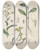 Triptych art skateboard deck of Friedrich Berge Giftpflanzenbuch Pl07 by Friedrich Berge (1811-1883)