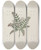 Triptych art skateboard deck of Luigi Balugani Clausena Anisata Willd Benth Mosquito Plant by Luigi Balugani (1737-1770)