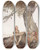 Triptych art skateboard deck of Arthur Rackham The Travellers And The Planetree by Arthur Rackham (1867-1939)