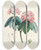 Triptych art skateboard deck of Walter Hood Fitch The Rhododendrons Of Sikkimhimalaya Pl05 by Walter Hood Fitch (1817-1892)