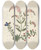 Triptych art skateboard deck of Ellen W Album Of Cutpaper Flowers Pl16 by Ellen W (19-)