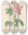 Triptych art skateboard deck of Pierre Joseph Redout Rosa Gallica Versicolor by Pierre Joseph Redoute (1759-1840)