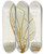 Triptych art skateboard deck of Martin Frobenius Ledermuller Amusement Microscopique Tant Pour Lesprit Que Pour Les Yeux Pl053 by Martin Frobenius Ledermu%Cc%88Ller (1719-1769)