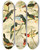 Triptych art skateboard deck of Emil August Gldi Araarys by Emil August Goldi (1859-1917)