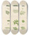 Triptych art skateboard deck of Walter Hood Fitch Cryptogamic Botany Of The Antarctic Voyage Of Hm Discovery Ships Erebus And Terror In The Years 1839 Pl64 by Walter Hood Fitch (1817-1892)
