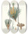 Triptych art skateboard deck of Aylmer Bourke Lambert Pinus Pinea The Stone Pine_2 by Aylmer Bourke Lambert (1761-1842)