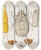 Triptych art skateboard deck of Martin Frobenius Ledermuller Amusement Microscopique Tant Pour Lesprit Que Pour Les Yeux Pl063 by Martin Frobenius Ledermu%Cc%88Ller (1719-1769)