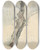 Triptych art skateboard deck of Robert Hills Tree Study_1 by Robert Hills (1769-1844)