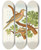 Triptych art skateboard deck of Edwin L Sheppard Mourning Dove by Edwin L Sheppard (1904)