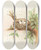 Triptych art skateboard deck of Edwin L Sheppard Wood Pewee by Edwin L Sheppard (1904)