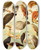 Triptych art skateboard deck of Emil August Gldi Gavies Ii by Emil August Goldi (1859-1917)
