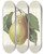 Triptych art skateboard deck of Pierre Joseph Redout Choix Des Plus Belles Fleurs Pl 078 by Pierre Joseph Redoute (1759-1840)